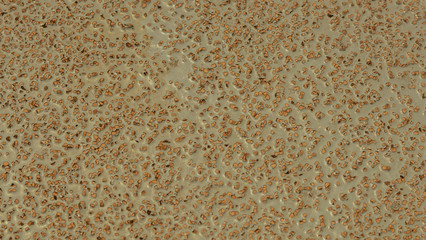 closeup of texture on the floor