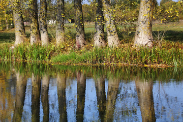The Gacka River in autumn, Croatia