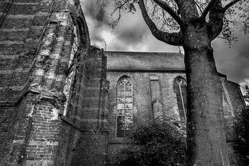 Dramatic Black and White of a Medieval Cathedral Ruins