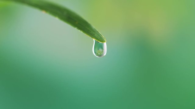 Water drop on green leaf on bokeh