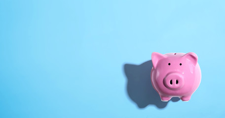 Pink piggy bank - overhead view flat lay