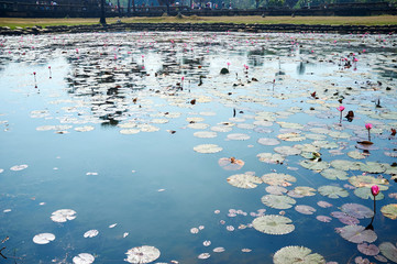 Angkor Wat is a famous landmark in Siem Reap, Cambodia.