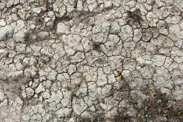 Dry Cracked Soil