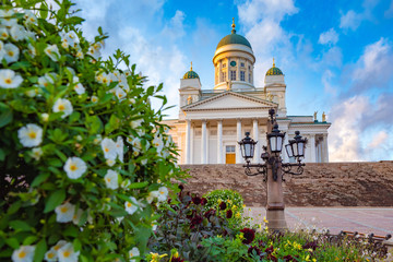 Panorama of Helsinki in summer. Finland. Suurkirkko. Cathedral Of St. Nicholas. Cathedrals Of Finland. Senate square. Church on a background of flowers. Helsinki travel guide. Architecture - obrazy, fototapety, plakaty