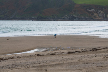 Fototapeta na wymiar A beachcomber on Pentewan beach in Cornwall