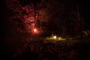 Horror Halloween concept. Burning old oil lamp in forest at night. Night scenery of a nightmare scene.