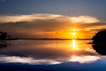 Sunset sky at the beach, flock of birds, beautiful landscape