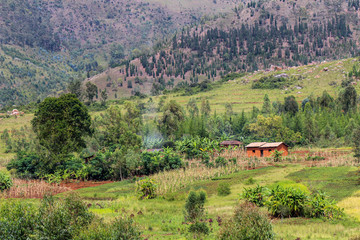 Fototapeta na wymiar Typical subsistence farmer household in the Gitega Province of Burundi with terraces and eroding hilltops in the background