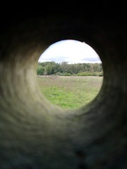 Forest view through the hole bushes bush pipe green autumn 5.10.2019 October 2019 season
