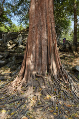 Beng Mealea is a famous landmark in Cambodia.