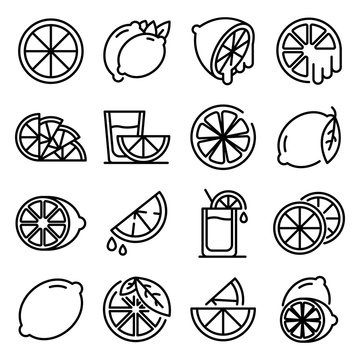 Lime icons set. Outline set of lime vector icons for web design isolated on white background