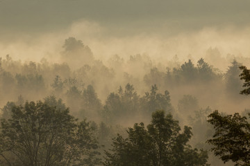 Sunrise with morning mist in mountains of Croatia