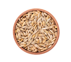 Malted barley grains in the wooden bowl, isolated on white background. Barley seed close up. Top view. Macro.