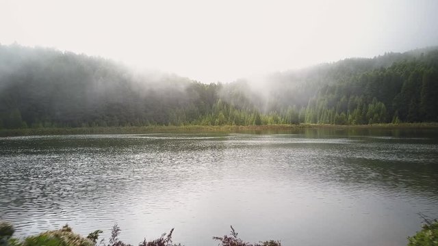 Hydrangea And Mysterious Foggy Alpine Lake