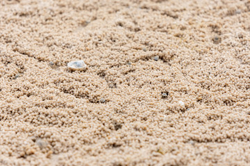 Close-up round shaped sand that made by Soldier crab (Mictyris longicarpus) on the beach. Copy space wallpaper.