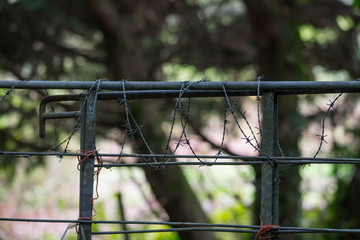 Close up of a gate covered with barbed wire in Cornish woodland