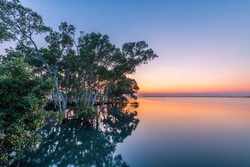 The sun rising over still waters in a mangrove forest during the morning on a clear day in Wynnum, Queensland, Australia.