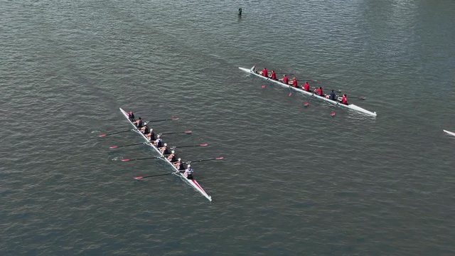 Wide shot view of crew team members practicing on the Allegheny River in downtown Pittsburgh, Pennsylvania on a sunny autumn day. Shot at 48fps.  	