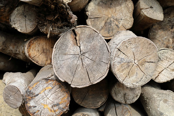 Wood long timber stack for charcoal factory background