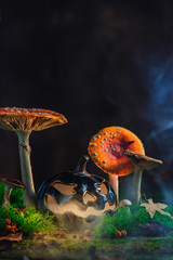 Fototapete bei efototapeten.de bestellen   