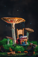 Tiny chair with plaid and a stack of books under a gigantic mushroom with moss and raindrops. Magical forest scene with copy space. - 294093192