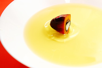 Fresh palm oil fruit