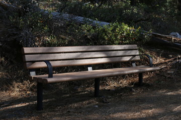brown bench in the park
