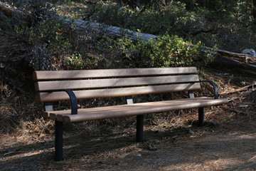 bench in the park