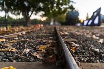 tracks in autumn