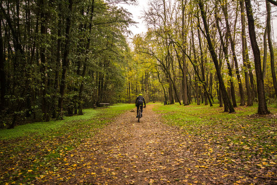 Vernavola autunno