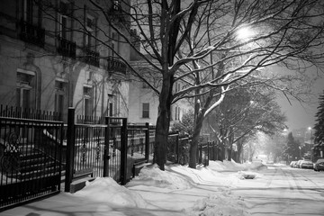 Tree-lined street at night 