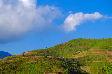 Obraz premium Beautiful landscape of mountain with cloud and blue sky in Ta Xua, Northwest Vietnam. Royalty high quality stock image of landscape, mountain.