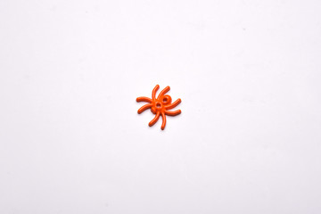 Halloween decorations spider  on white background , Halloween holiday background , top view