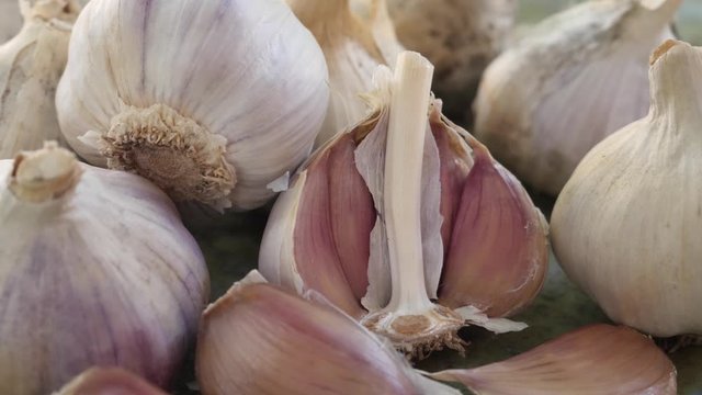 Garlic clove or garlic bulb on vintage wooden background. Concept of healthy food
