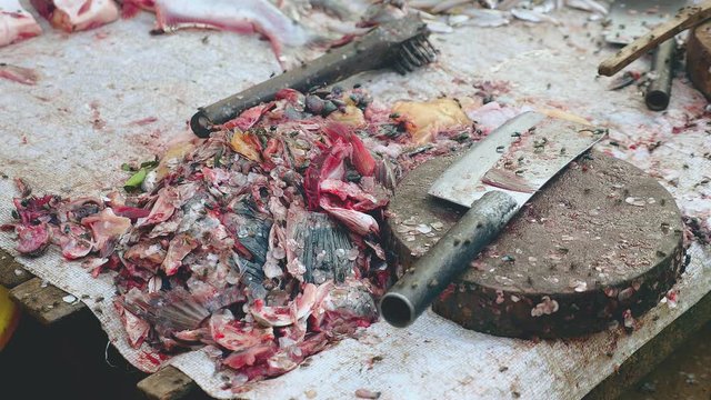  Flies over fish waste after cutting on wooden board with a butcher knife ( close up )