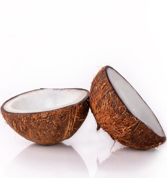 coco de palmera en fondo blanco
