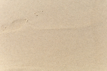 Fototapeta na wymiar Sand on the beach background. For text or design.