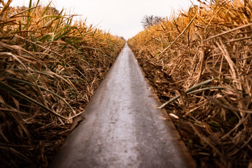 Vías de ferrocarril 