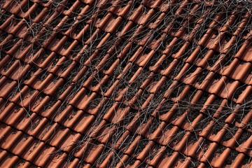 a piece of red tile roof with branches
