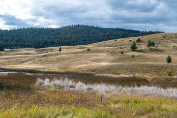 Fototapeta premium dry pasture grazing lands in rural British Columbia, Canada, near Kamloops. Vast hilly landscape, interesting relief, dry grass, hay, pine trees, blue sky