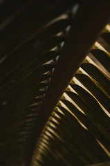 tire tread texture background