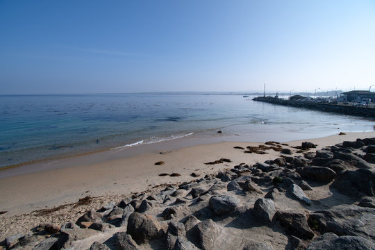 San Carlos Beach, also called Breakwater. A popular beach and shore diving location, The tops of the kelp forest can be seen on the water surface.