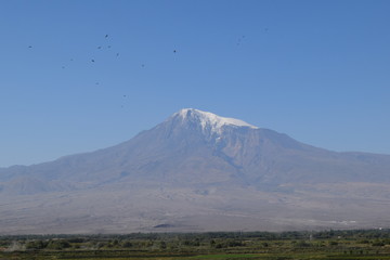 Fototapeta premium Nature of Armenia.View of Ararat