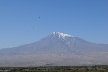 Fototapeta premium Nature of Armenia.View of Ararat