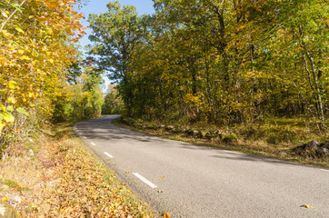 Fototapeta premium Winding country road in fall season colors