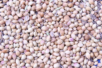 coriander in the street on the sunlight