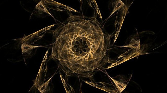 Monochrome abstract mandala sacred geometry, seed flower of life lotus isolated.