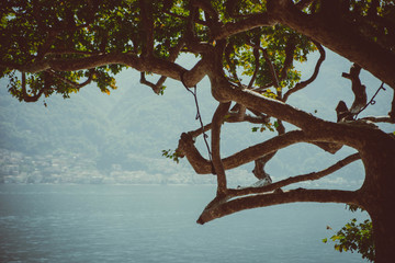 garden .lake. como