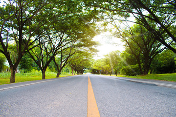 Beautiful roads with green trees along the route on sunny spring day.