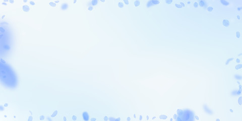 Dark blue flower petals falling down. Attractive r